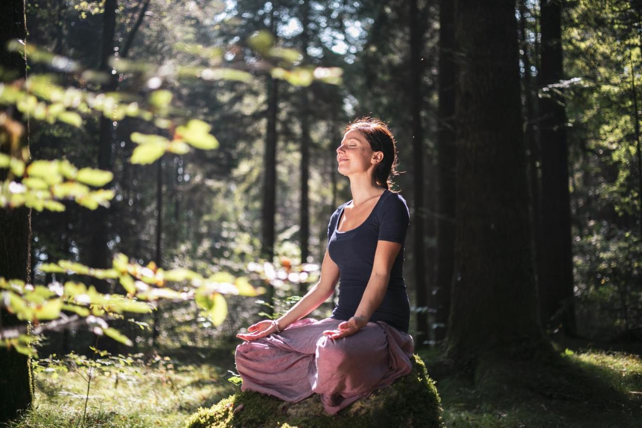 Da Elda Natural Retreat Lenzumo di Concei Екстериор снимка