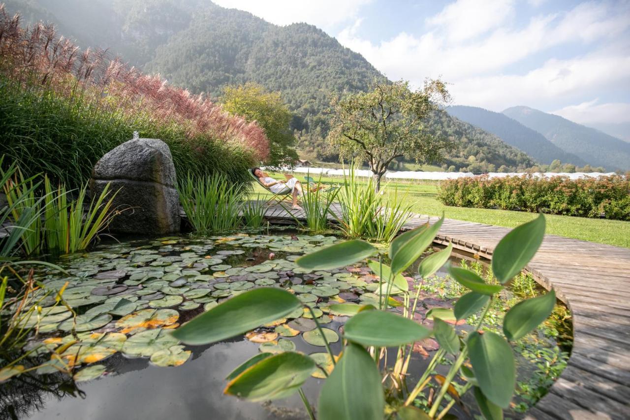 Da Elda Natural Retreat Lenzumo di Concei Екстериор снимка